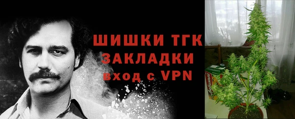 гидра Волосово